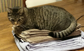 20140929213012562.jpg
