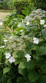 20150624093859926.jpg