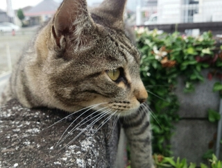 20150624094435456.jpg
