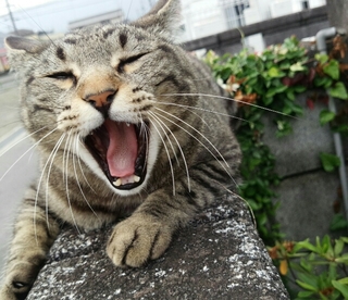 20150624094439799.jpg
